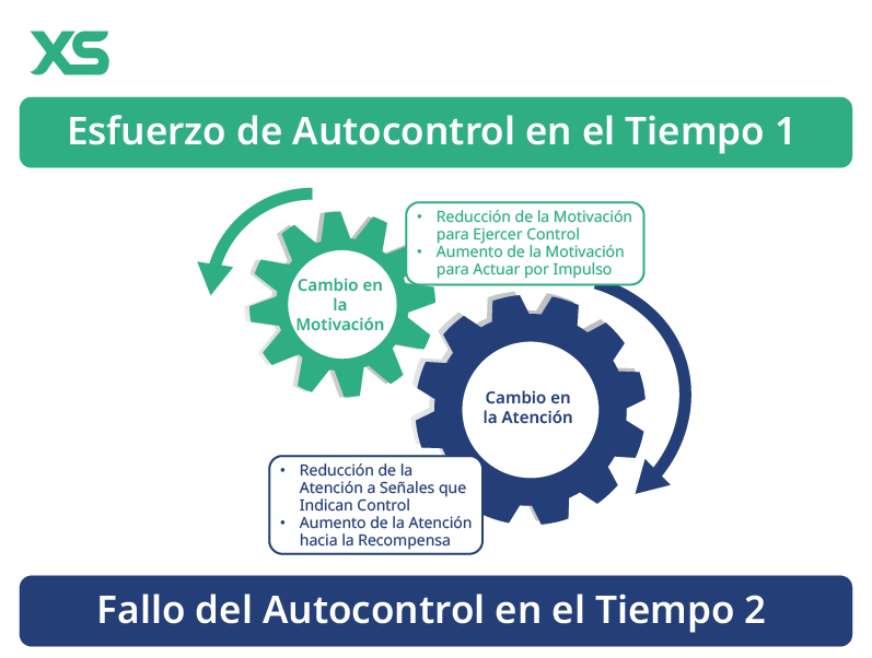 course 13  lessos 10 ES copy
