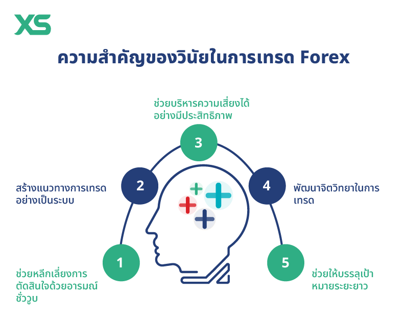 important of discipline in forex trading thai