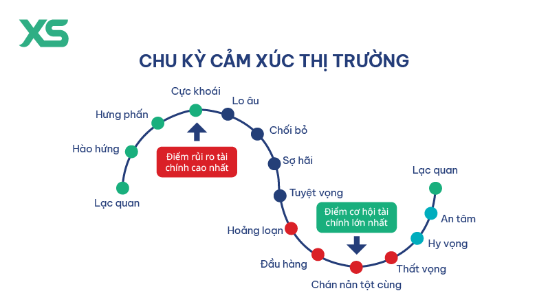 the cycle of market emotions VI